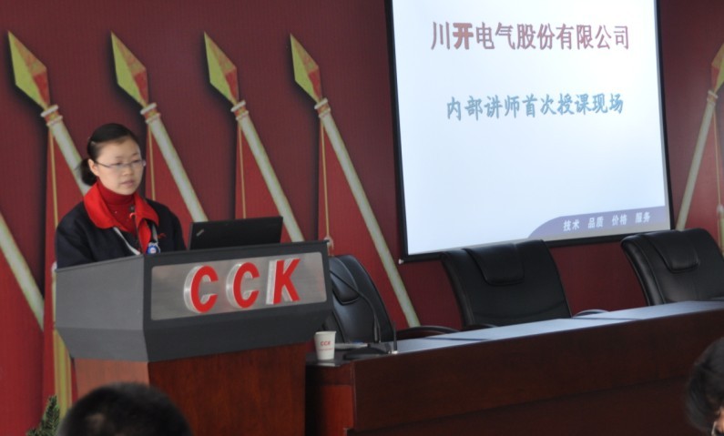 pp电子模拟器电气组织发展“电气基础知识”内部专题培训