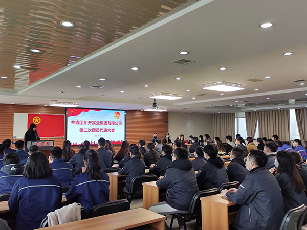 共青团pp电子模拟器第二次团员代表大会