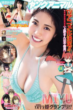 山炮进城2下载