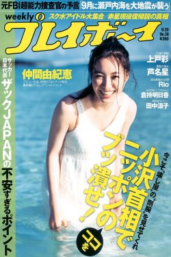 哥哥的女人