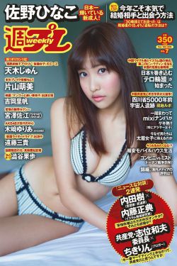 贺先生